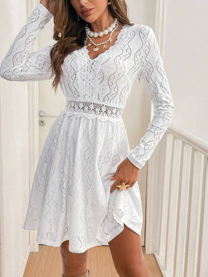 Lace Detail V Neck Long Sleeve Mini Dress - Teresa's Fashionista LLC