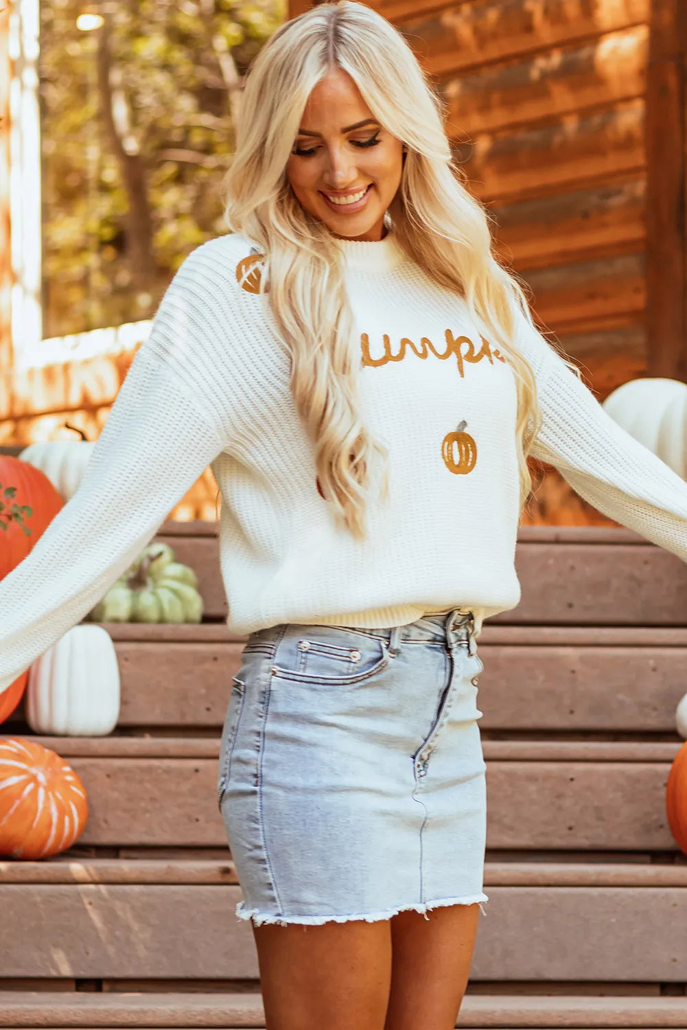 Pumpkin Embroidery Long Sleeve Sweater - Teresa's Fashionista LLC