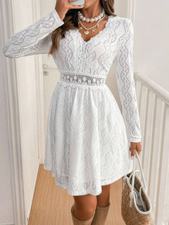 Lace Detail V Neck Long Sleeve Mini Dress - Teresa's Fashionista LLC