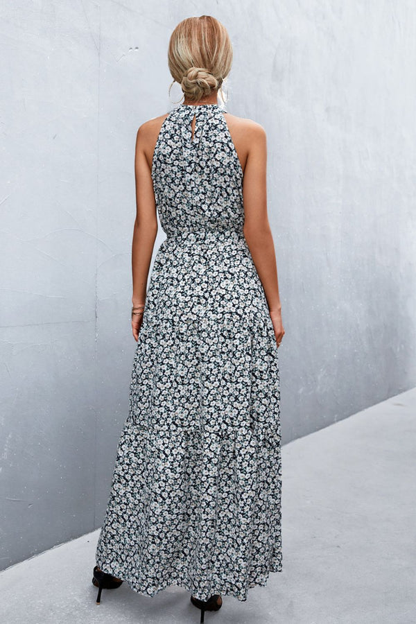Printed Sleeveless Tie Waist Maxi Dress-Teresa's Fashionista LLC