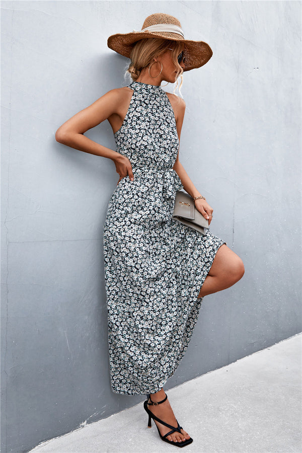 Printed Sleeveless Tie Waist Maxi Dress-Teresa's Fashionista LLC
