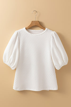 Textured Round Neck Puff Sleeve Blouse - Teresa's Fashionista LLC