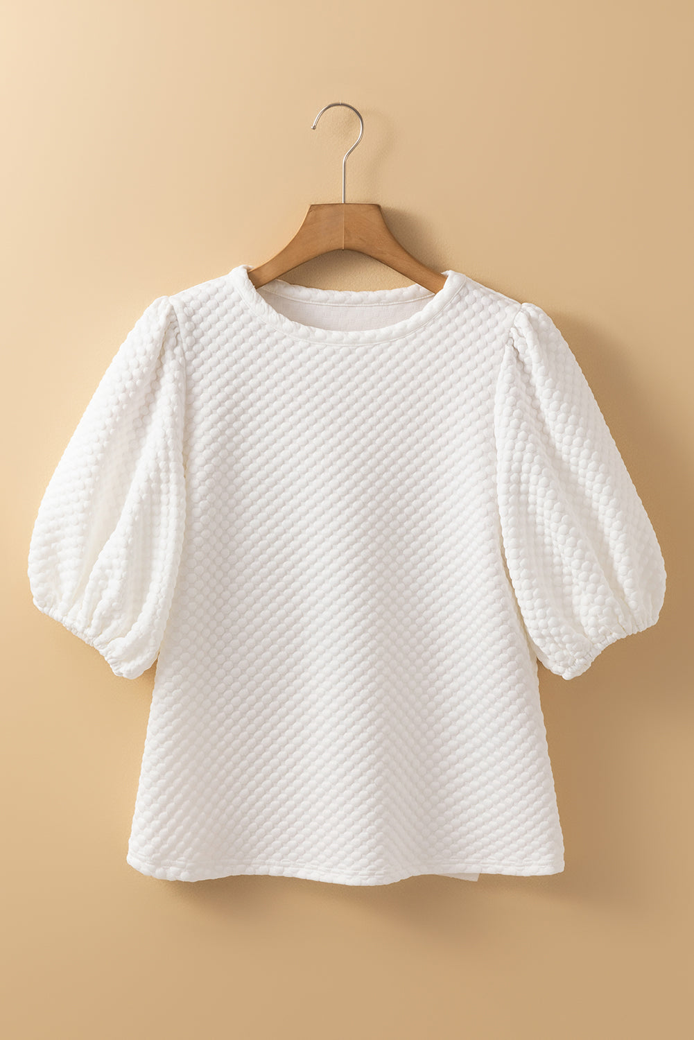 Textured Round Neck Puff Sleeve Blouse - Teresa's Fashionista LLC