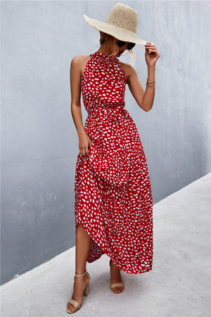 Printed Sleeveless Tie Waist Maxi Dress-Teresa's Fashionista LLC