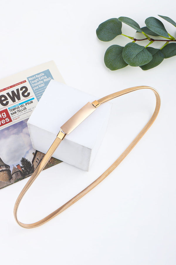 Elastic Iron Skinny Belt-Teresa's Fashionista LLC