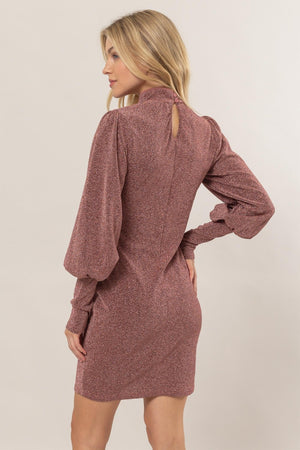 HYFVE Glitter Mock Neck Long Sleeve Mini Dress - Teresa's Fashionista LLC