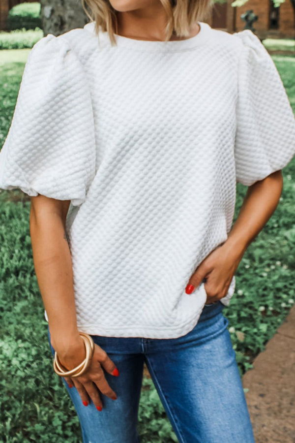 Textured Round Neck Puff Sleeve Blouse - Teresa's Fashionista LLC