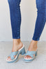 Weeboo Cherish The Moments Contrast Platform Sandals in Misty Blue-Teresa's Fashionista LLC