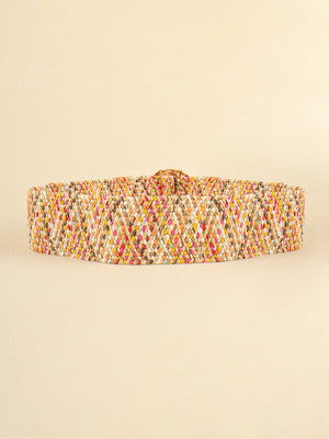 Multicolored Wide Belt-Teresa's Fashionista LLC