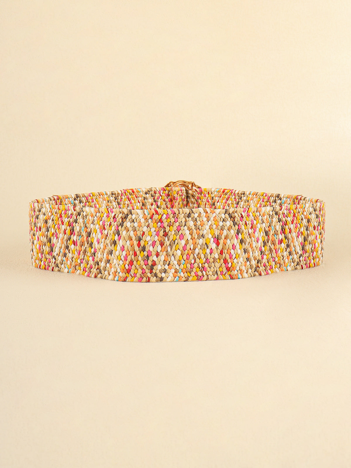 Multicolored Wide Belt-Teresa&#39;s Fashionista LLC