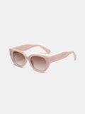 Cat Eye Polycarbonate Frame Sunglasses - Teresa's Fashionista LLC