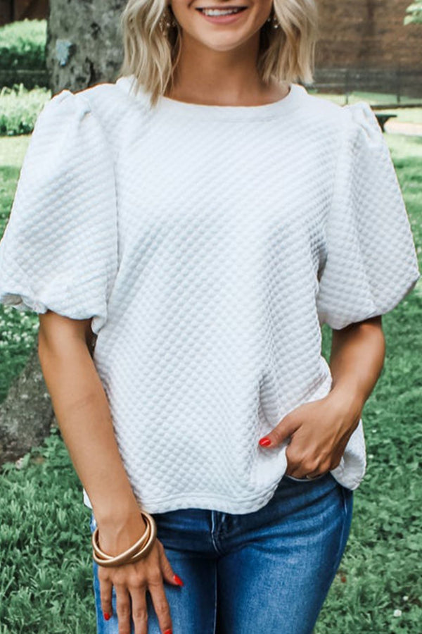 Textured Round Neck Puff Sleeve Blouse - Teresa's Fashionista LLC