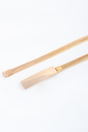 Elastic Iron Skinny Belt-Teresa's Fashionista LLC