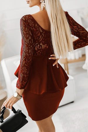 Lace Detail Long Sleeve Mini Dress-Teresa's Fashionista LLC