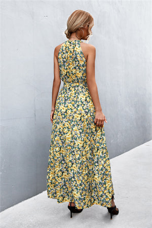 Printed Sleeveless Tie Waist Maxi Dress-Teresa's Fashionista LLC