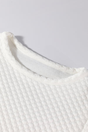 Textured Round Neck Puff Sleeve Blouse - Teresa's Fashionista LLC