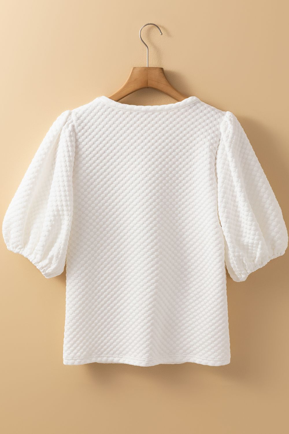 Textured Round Neck Puff Sleeve Blouse - Teresa's Fashionista LLC