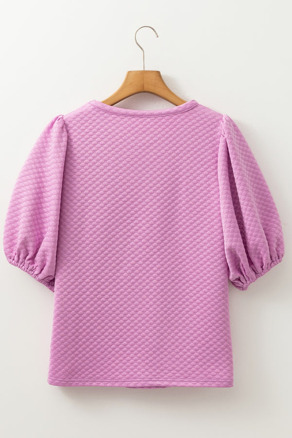 Textured Round Neck Puff Sleeve Blouse - Teresa's Fashionista LLC