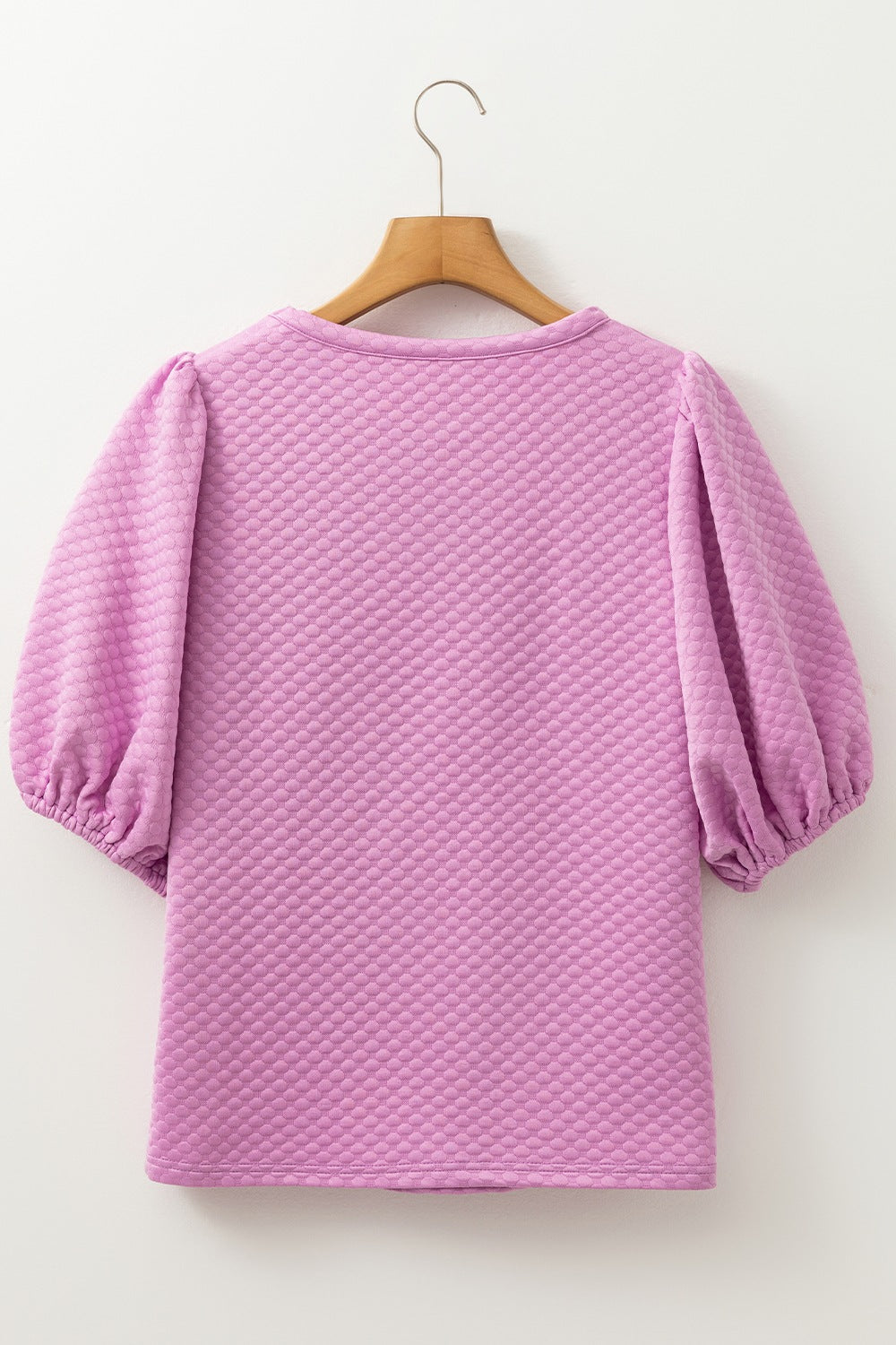 Textured Round Neck Puff Sleeve Blouse - Teresa's Fashionista LLC