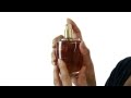Calvin Klein Obsession Perfume