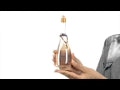 Miami Glow Perfume