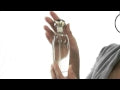 Pleasures Perfume