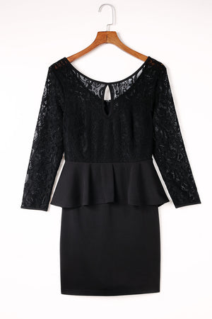 Lace Detail Long Sleeve Mini Dress-Teresa's Fashionista LLC