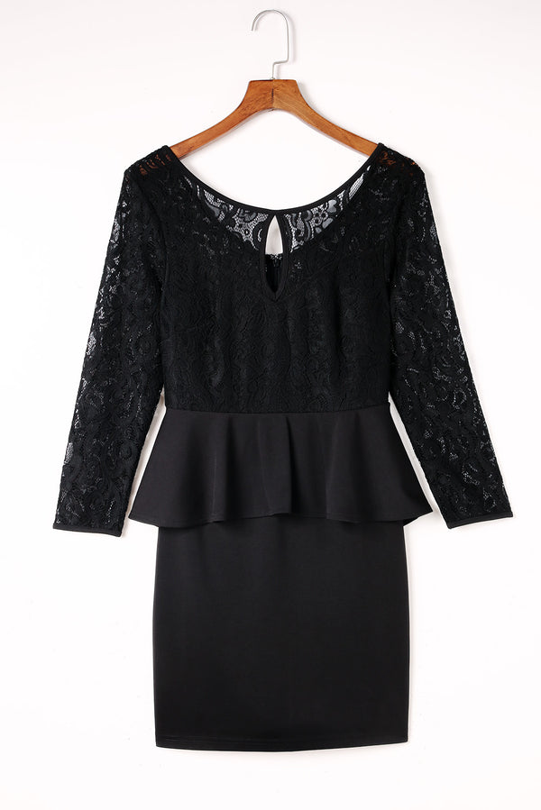 Lace Detail Long Sleeve Mini Dress-Teresa's Fashionista LLC