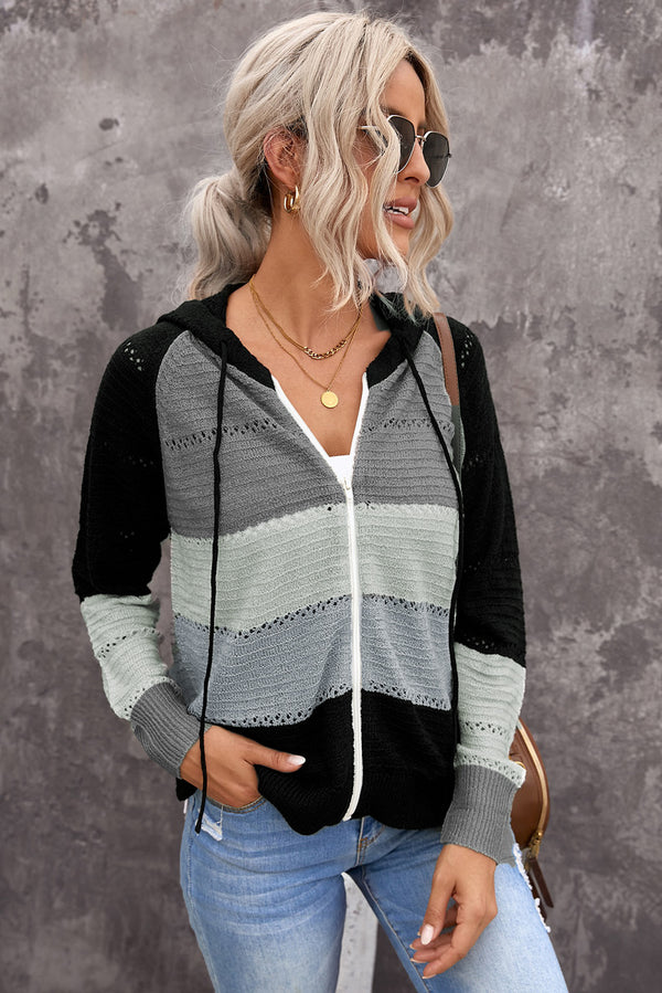 Zip-Up Raglan Sleeve Openwork Hooded Cardigan-Teresa's Fashionista LLC