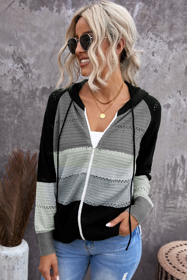 Zip-Up Raglan Sleeve Openwork Hooded Cardigan-Teresa's Fashionista LLC