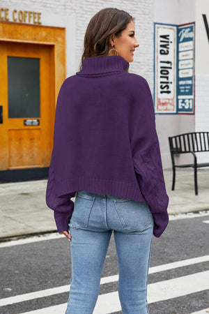 Turtleneck Cable-Knit Long Sleeve Sweater-Teresa's Fashionista LLC