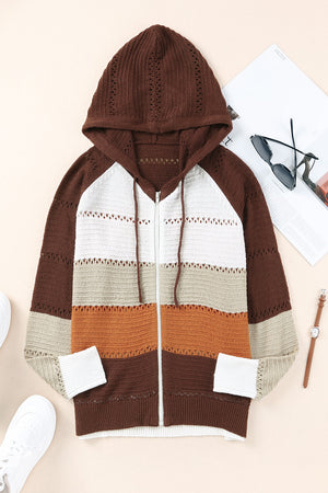 Zip-Up Raglan Sleeve Openwork Hooded Cardigan-Teresa's Fashionista LLC