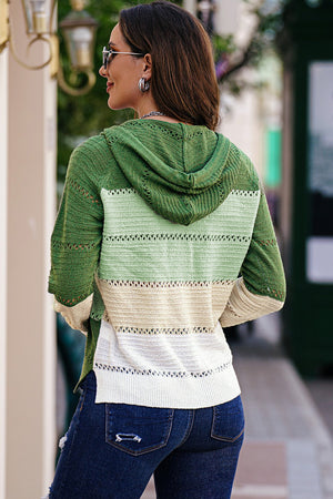 Zip-Up Raglan Sleeve Openwork Hooded Cardigan-Teresa's Fashionista LLC