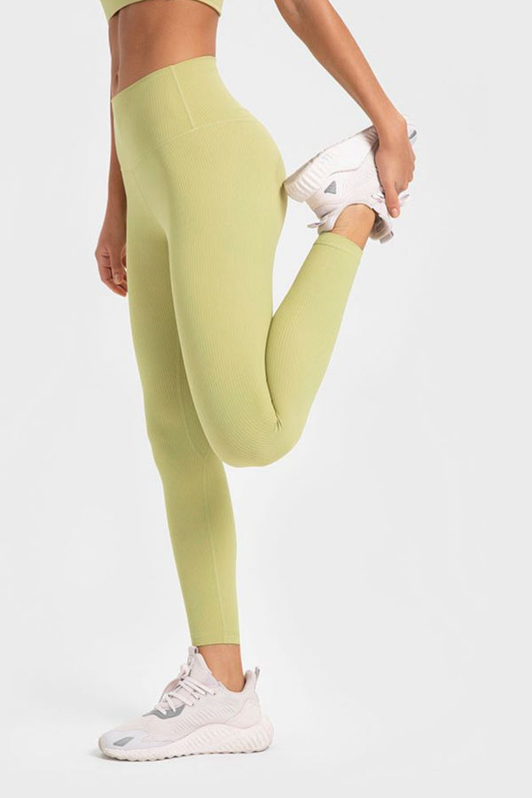 Highly Stretchy Wide Waistband Yoga Leggings-Teresa's Fashionista LLC
