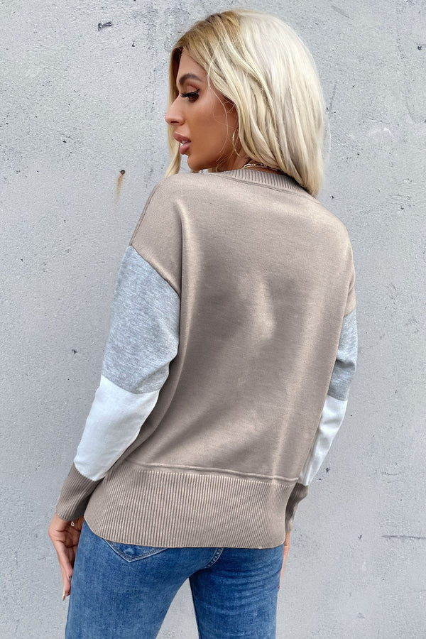Color Block Ribbed Trim Round Neck Knit Pullover-Teresa's Fashionista LLC