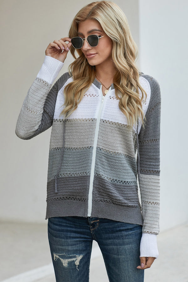 Zip-Up Raglan Sleeve Openwork Hooded Cardigan-Teresa's Fashionista LLC