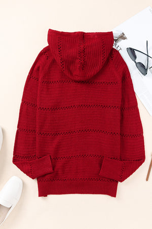 Zip-Up Raglan Sleeve Openwork Hooded Cardigan-Teresa's Fashionista LLC