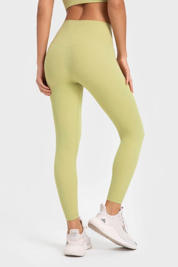 Highly Stretchy Wide Waistband Yoga Leggings-Teresa's Fashionista LLC