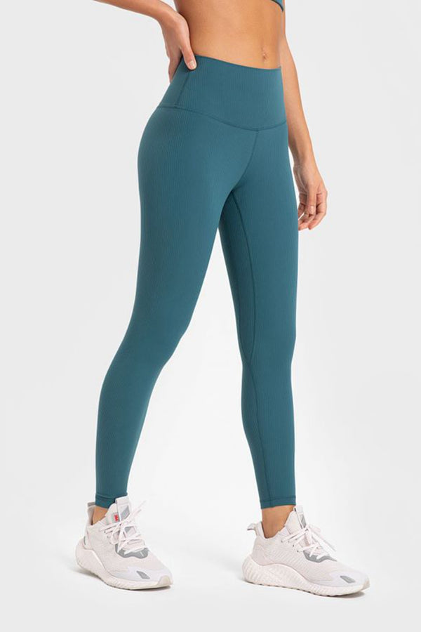 Highly Stretchy Wide Waistband Yoga Leggings-Teresa's Fashionista LLC