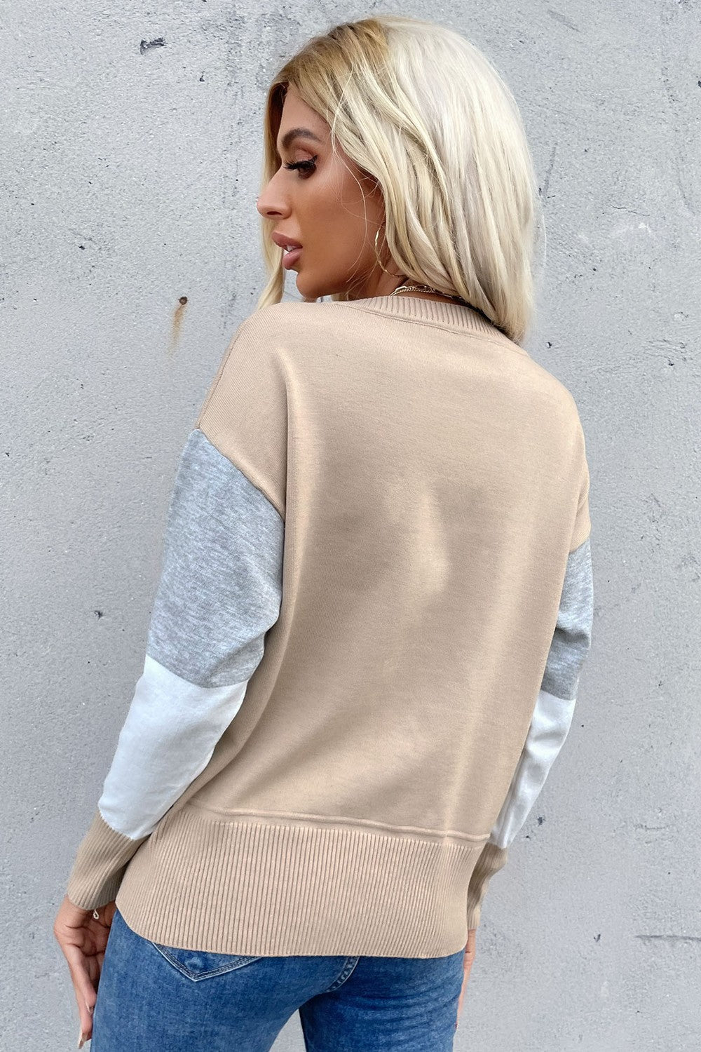 Color Block Ribbed Trim Round Neck Knit Pullover-Teresa's Fashionista LLC