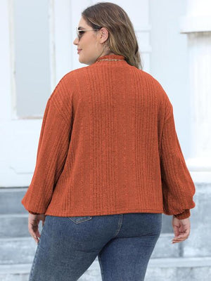 Plus Size Mock Neck Long Sleeve Knit Top-Teresa's Fashionista LLC