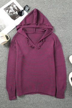 Horizontal Ribbing Fringe Trim Hooded Sweater-Teresa's Fashionista LLC