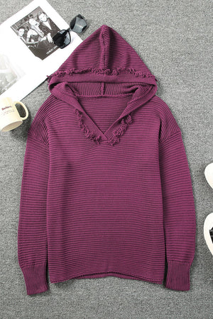 Horizontal Ribbing Fringe Trim Hooded Sweater-Teresa's Fashionista LLC