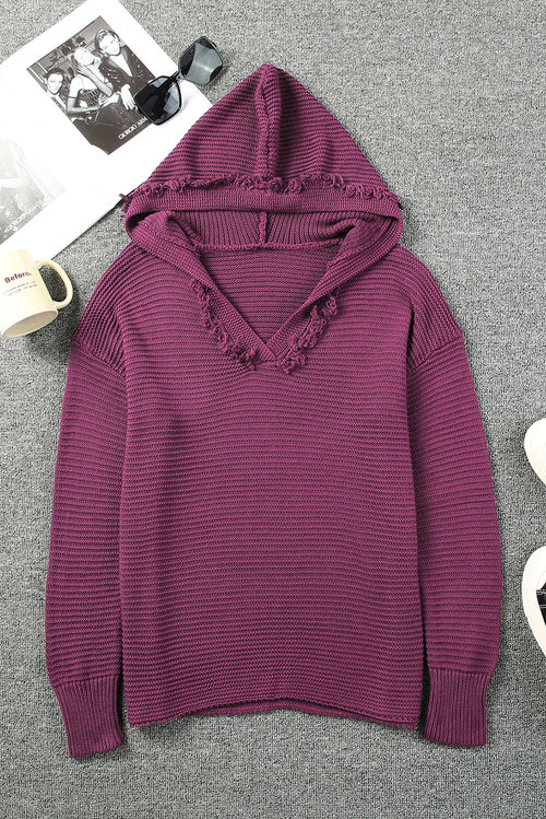 Horizontal Ribbing Fringe Trim Hooded Sweater-Teresa's Fashionista LLC