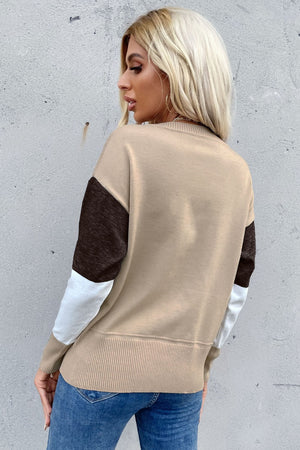 Color Block Ribbed Trim Round Neck Knit Pullover-Teresa's Fashionista LLC