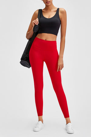 Wide Seamless Band Waist Sports Leggings-Teresa's Fashionista LLC