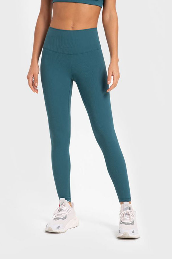 Highly Stretchy Wide Waistband Yoga Leggings-Teresa's Fashionista LLC