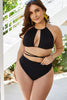 Plus Size Cutout Tied Backless Bikini Set-Teresa's Fashionista LLC