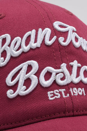 Embroidered Graphic Adjustable Baseball Cap-Teresa's Fashionista LLC