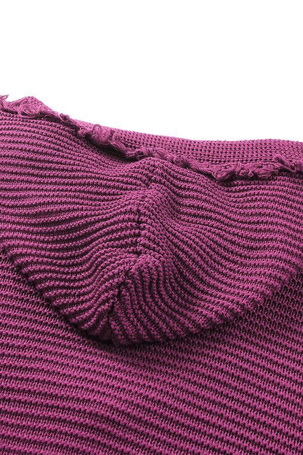 Horizontal Ribbing Fringe Trim Hooded Sweater-Teresa's Fashionista LLC